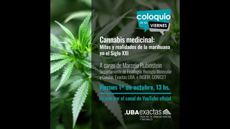 Normativas sobre la Venta de Tabaco en Playa de las Am&eacute;ricas