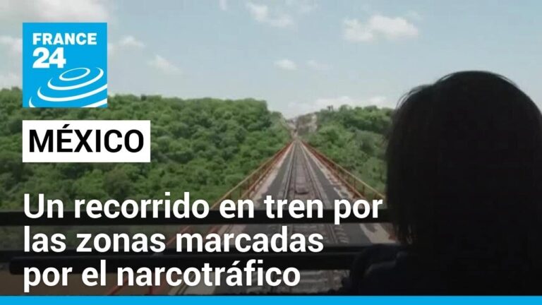 Opciones de Transporte para Turistas en Los Cristianos