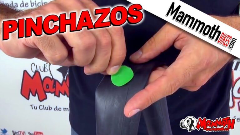 Excursiones en Bicicleta desde Las Galletas: Mejores Rutas y Destinos