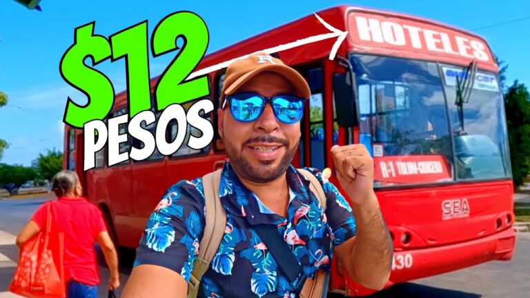 Opciones de Transporte en Palm-Mar