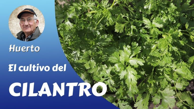 Tiendas de Jardiner&iacute;a en El Fraile que Ofrecen Plantas Medicinales