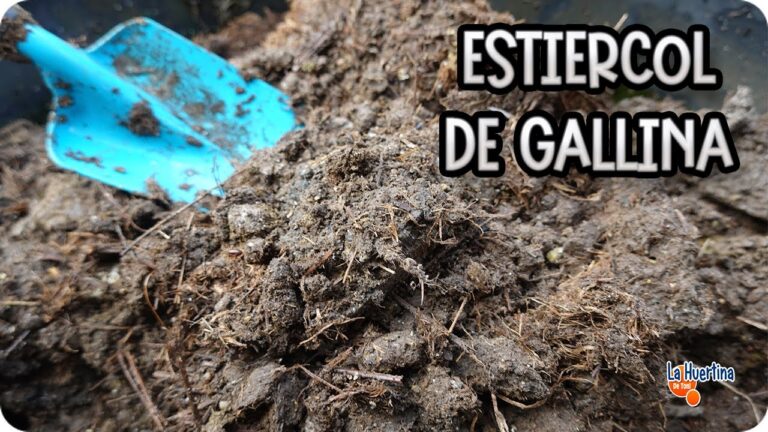 Gu&iacute;a para Comprar Alimentos Ecol&oacute;gicos en Costa del Silencio
