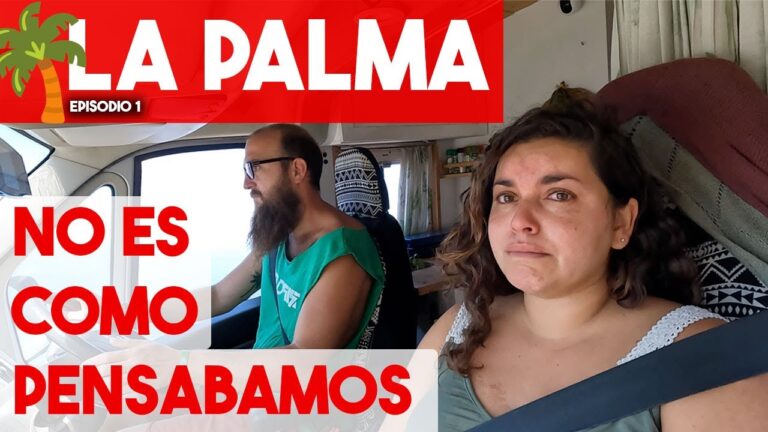 Gu&iacute;a para Solicitar Ayuda de Vivienda en Palm-Mar