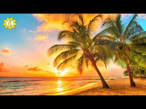 Descubre los Mejores Lugares para Aprender M&uacute;sica en Palm-Mar