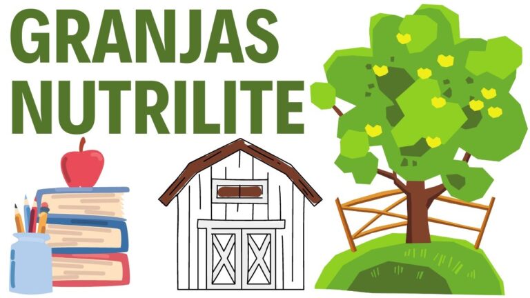 Gu&iacute;a para Comprar Productos Org&aacute;nicos en Los Cristianos