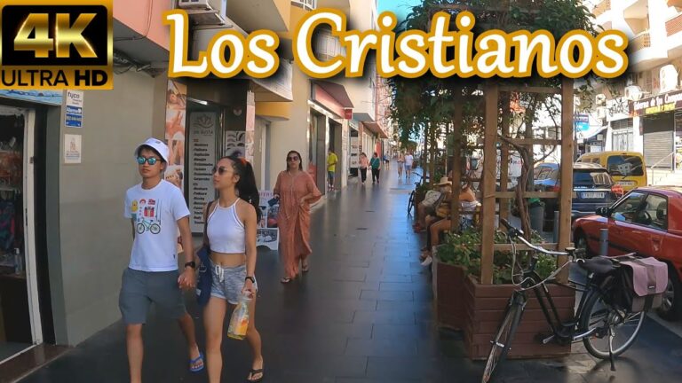 Gu&iacute;a de tiendas de deporte en Chayofa