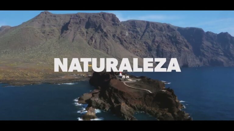 Oportunidades de Voluntariado Ambiental en Adeje
