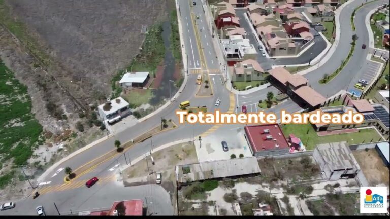 Guía para encontrar información sobre escuelas en Chayofa