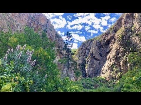 Rutas de Senderismo en Costa del Silencio: Descubre los Mejores Destinos