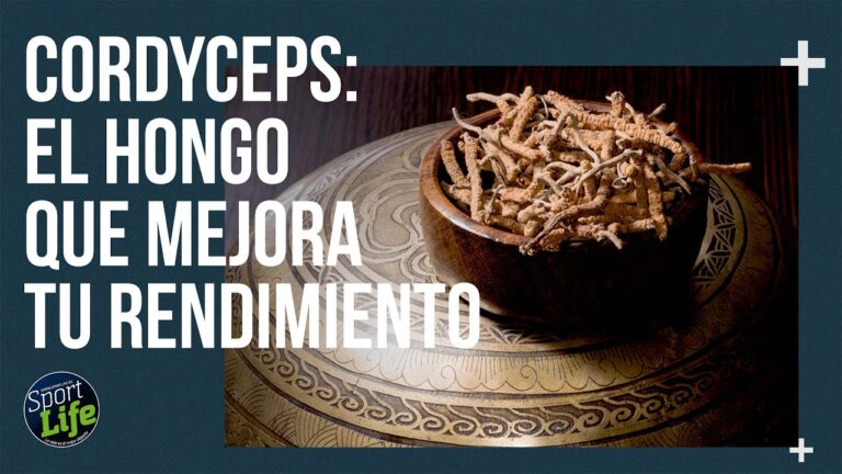 Guía para Comprar Productos de Ciclismo en El Fraile