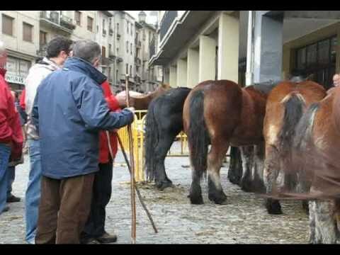 Ferias Destacadas en San Miguel de Abona